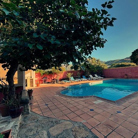 Residence Antonia Appartements Avec Piscine Commune - Centre Ville Calvi กาลวี ภายนอก รูปภาพ