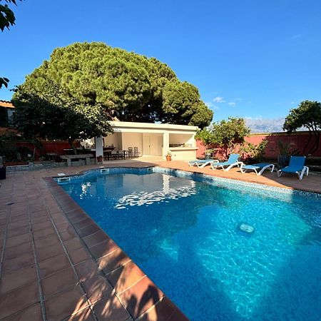 Residence Antonia Appartements Avec Piscine Commune - Centre Ville Calvi กาลวี ภายนอก รูปภาพ