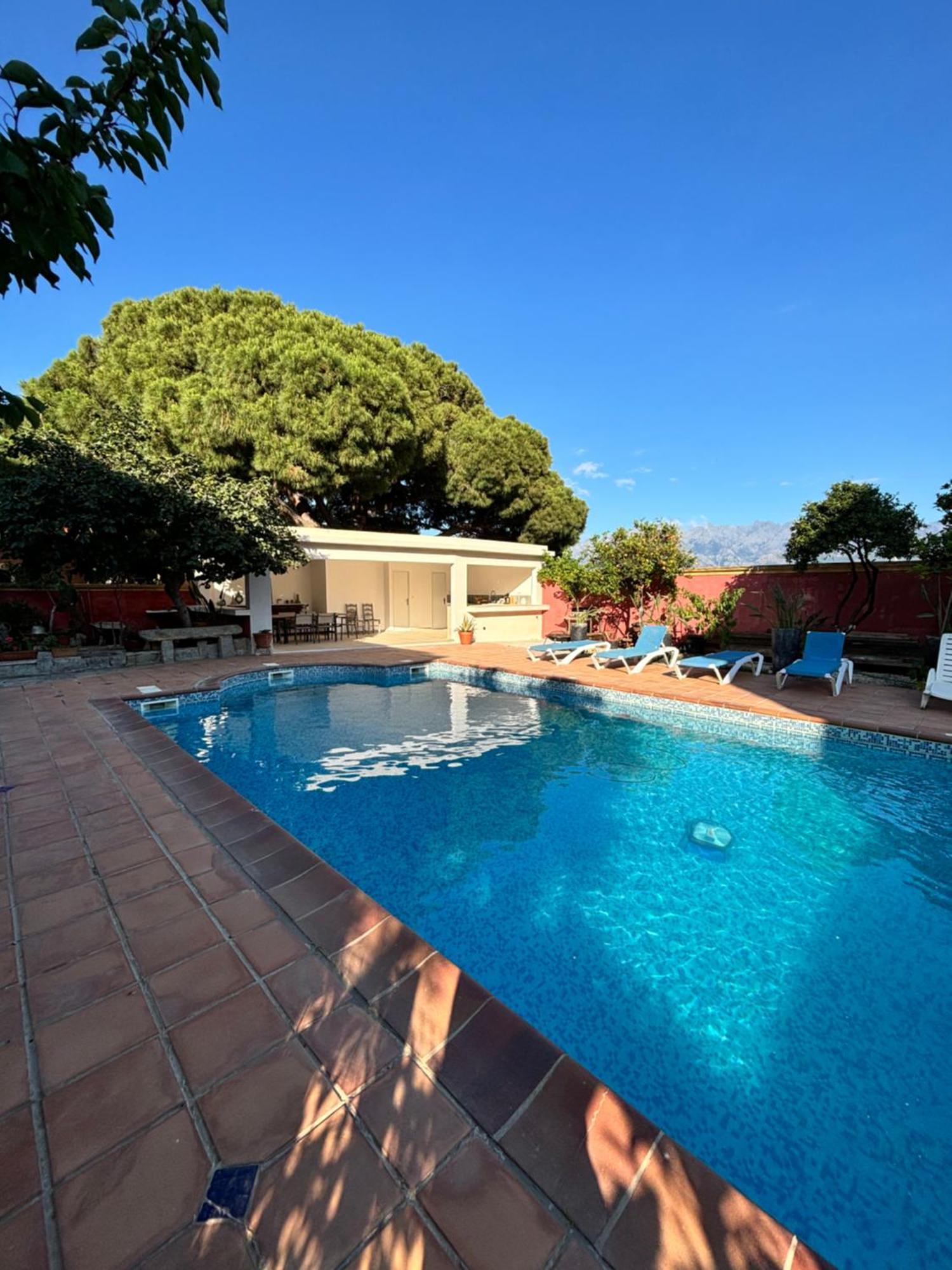 Residence Antonia Appartements Avec Piscine Commune - Centre Ville Calvi กาลวี ภายนอก รูปภาพ
