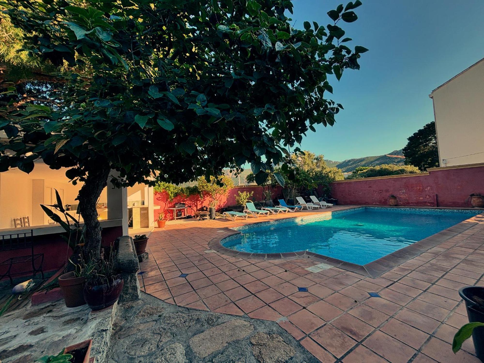 Residence Antonia Appartements Avec Piscine Commune - Centre Ville Calvi กาลวี ภายนอก รูปภาพ