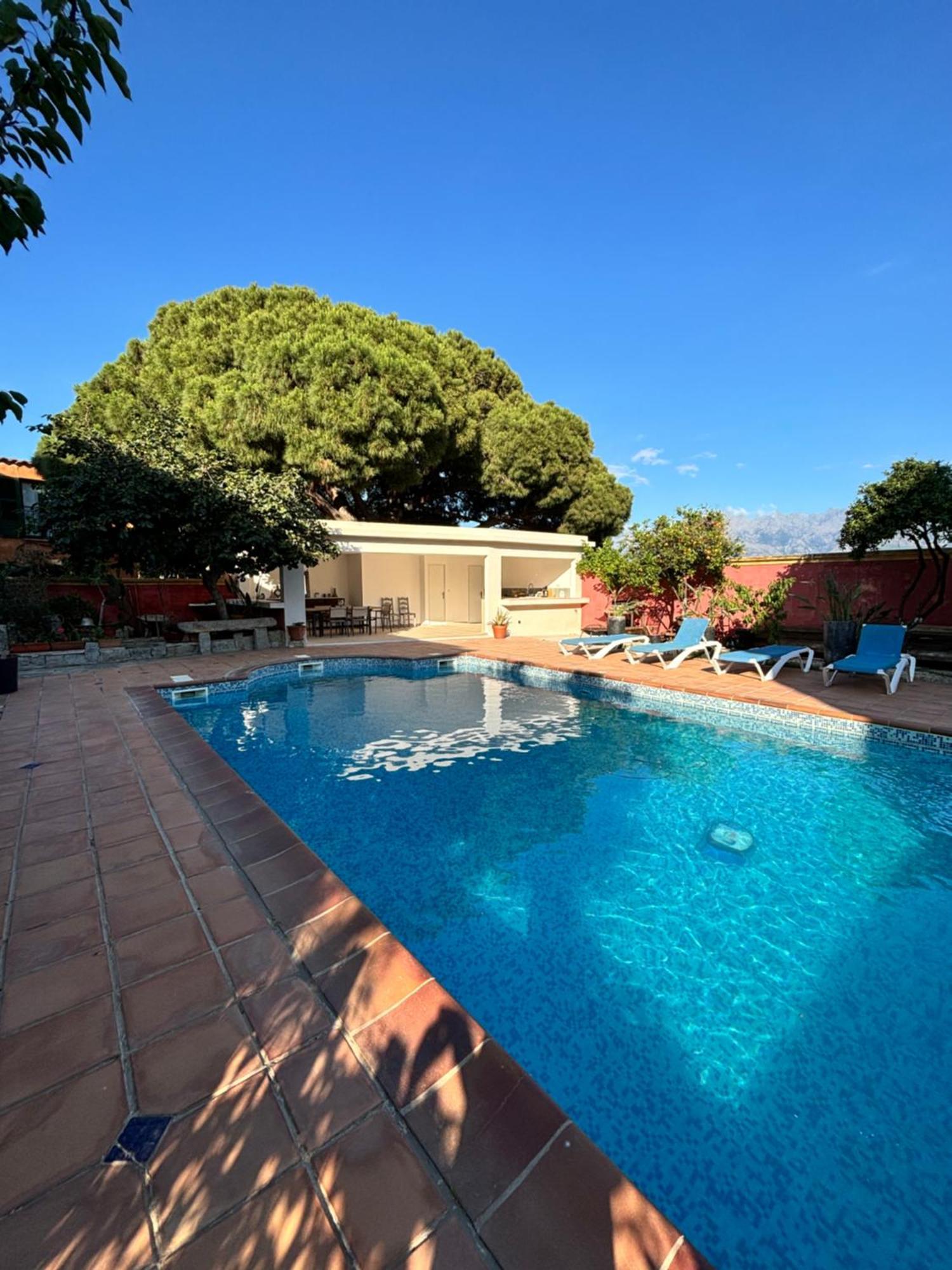 Residence Antonia Appartements Avec Piscine Commune - Centre Ville Calvi กาลวี ภายนอก รูปภาพ